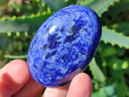 Polished Sodalite Palm Stones x 20 From Kunene River, Namibia - Toprock Gemstones and Minerals 
