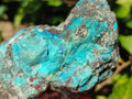Natural Rough Shattuckite Specimens x 6 From Kaokoveld, Namibia - Toprock Gemstones and Minerals 