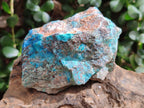 Natural Rough Shattuckite Specimens x 6 From Kaokoveld, Namibia - Toprock Gemstones and Minerals 