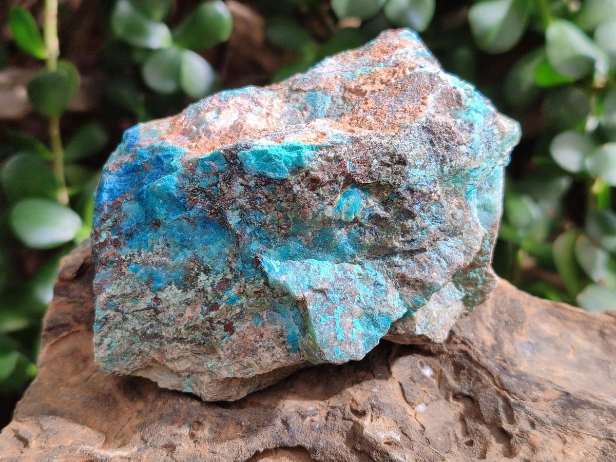 Natural Rough Shattuckite Specimens x 6 From Kaokoveld, Namibia - Toprock Gemstones and Minerals 