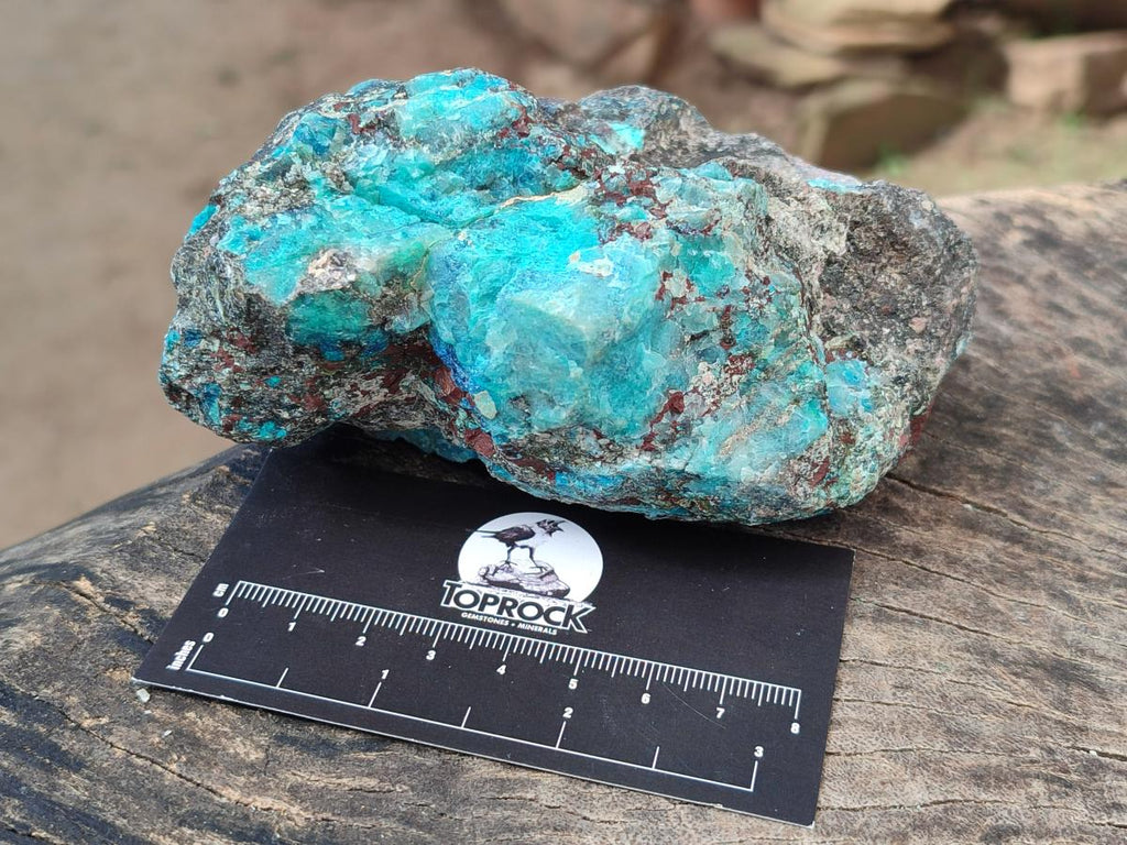 Natural Rough Shattuckite Specimens x 6 From Kaokoveld, Namibia - Toprock Gemstones and Minerals 