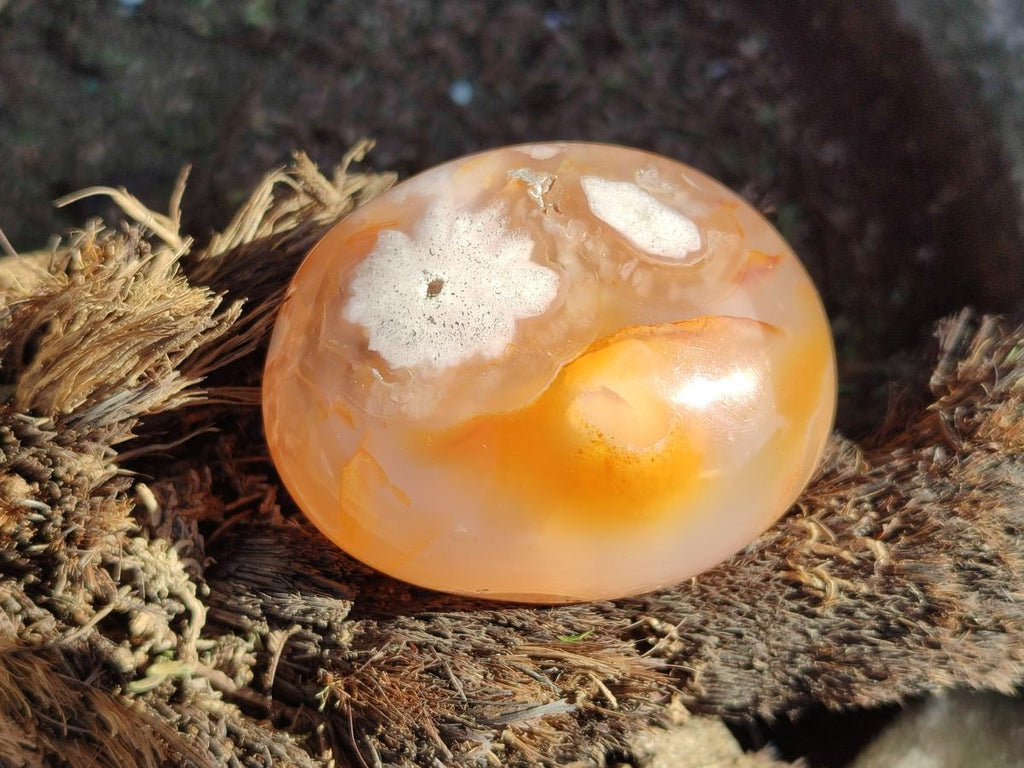 Polished Flower Agate Palm Stones x 12 From Antsahalova, Madagascar - Toprock Gemstones and Minerals 
