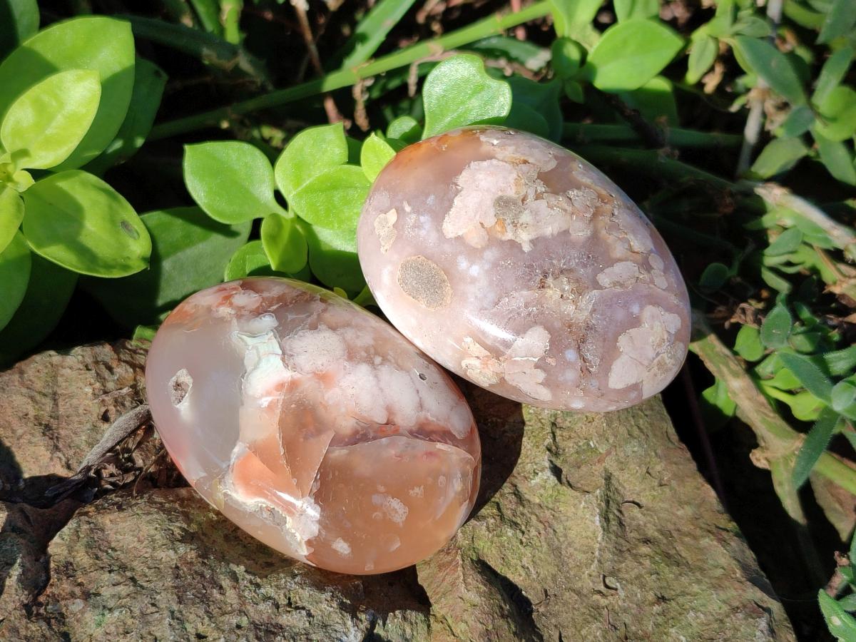Polished Flower Agate Palm Stones x 12 From Antsahalova, Madagascar - Toprock Gemstones and Minerals 