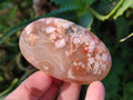 Polished Flower Agate Palm Stones x 12 From Antsahalova, Madagascar - Toprock Gemstones and Minerals 