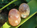 Polished Flower Agate Palm Stones x 12 From Antsahalova, Madagascar - Toprock Gemstones and Minerals 