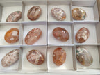 Polished Flower Agate Palm Stones x 12 From Antsahalova, Madagascar - Toprock Gemstones and Minerals 