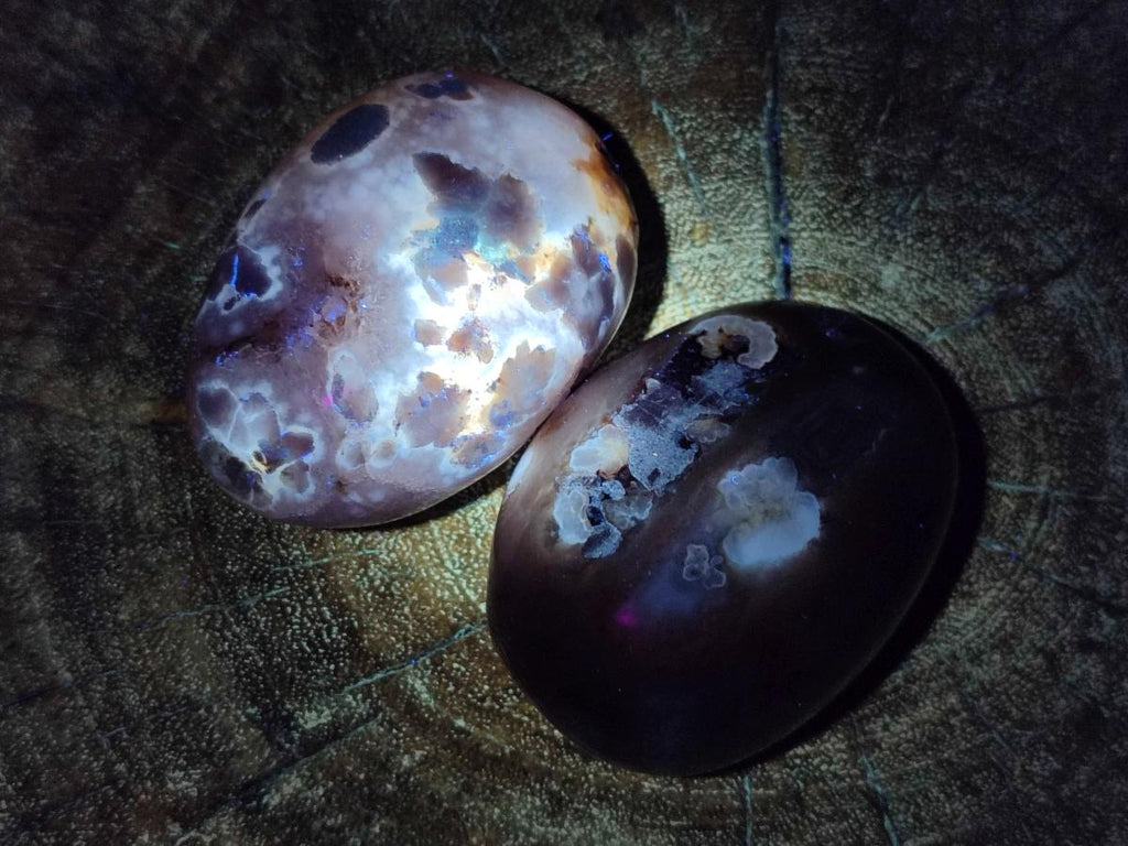 Polished Flower Agate Palm Stones x 12 From Antsahalova, Madagascar - Toprock Gemstones and Minerals 