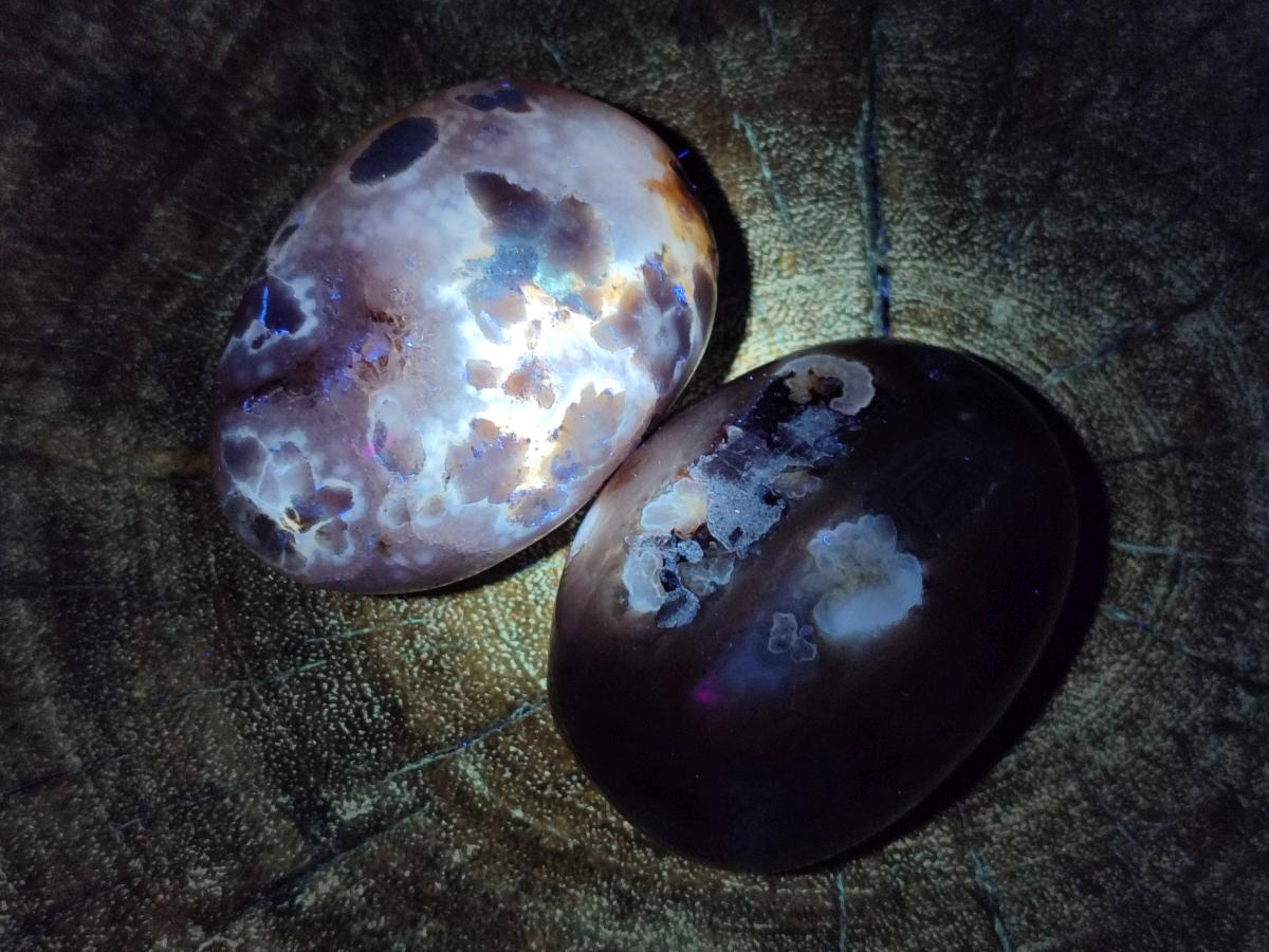 Polished Flower Agate Palm Stones x 12 From Antsahalova, Madagascar - Toprock Gemstones and Minerals 