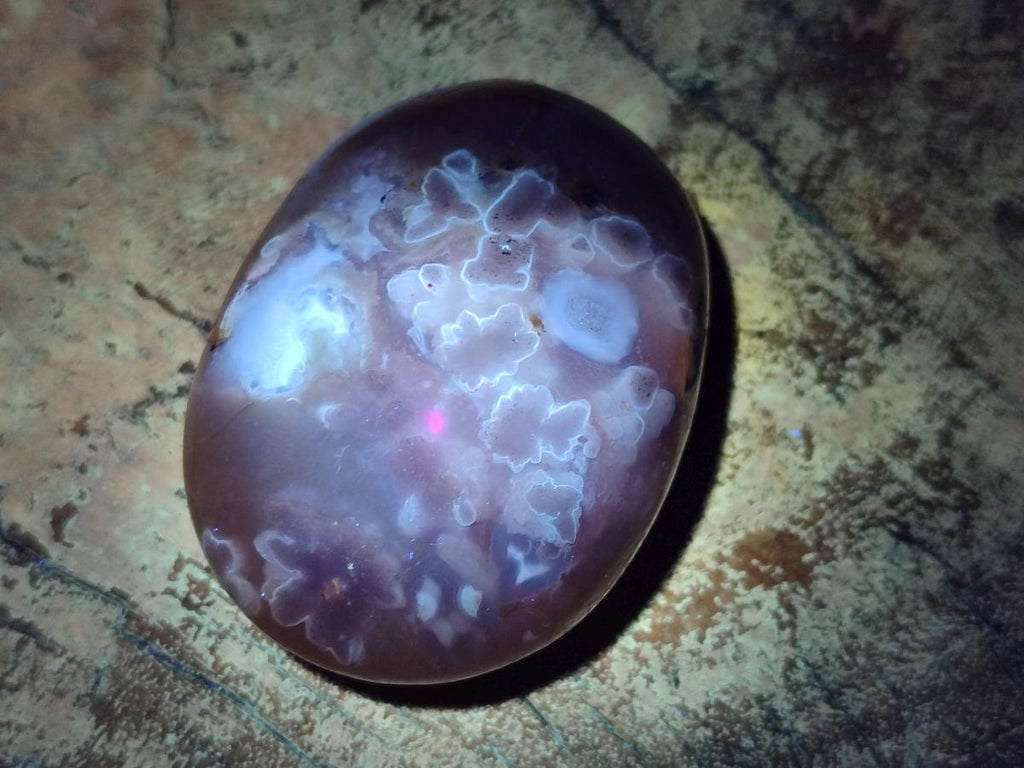 Polished Flower Agate Palm Stones x 12 From Antsahalova, Madagascar - Toprock Gemstones and Minerals 