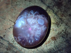 Polished Flower Agate Palm Stones x 12 From Antsahalova, Madagascar - Toprock Gemstones and Minerals 