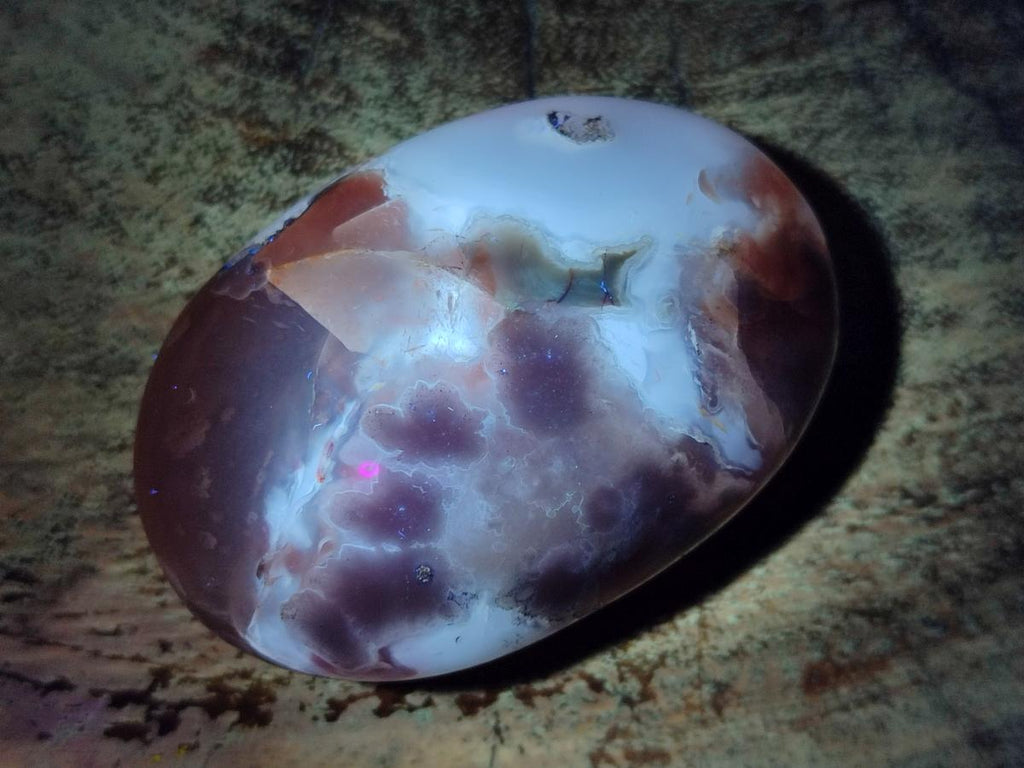Polished Flower Agate Palm Stones x 12 From Antsahalova, Madagascar - Toprock Gemstones and Minerals 
