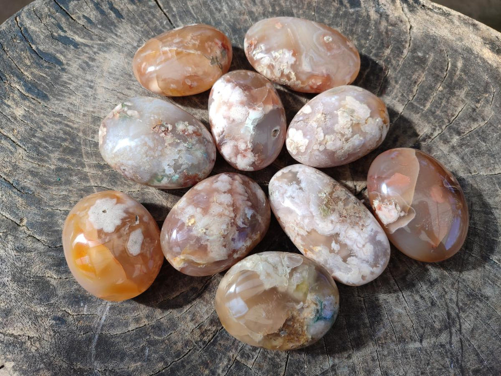 Polished Flower Agate Palm Stones x 12 From Antsahalova, Madagascar - Toprock Gemstones and Minerals 