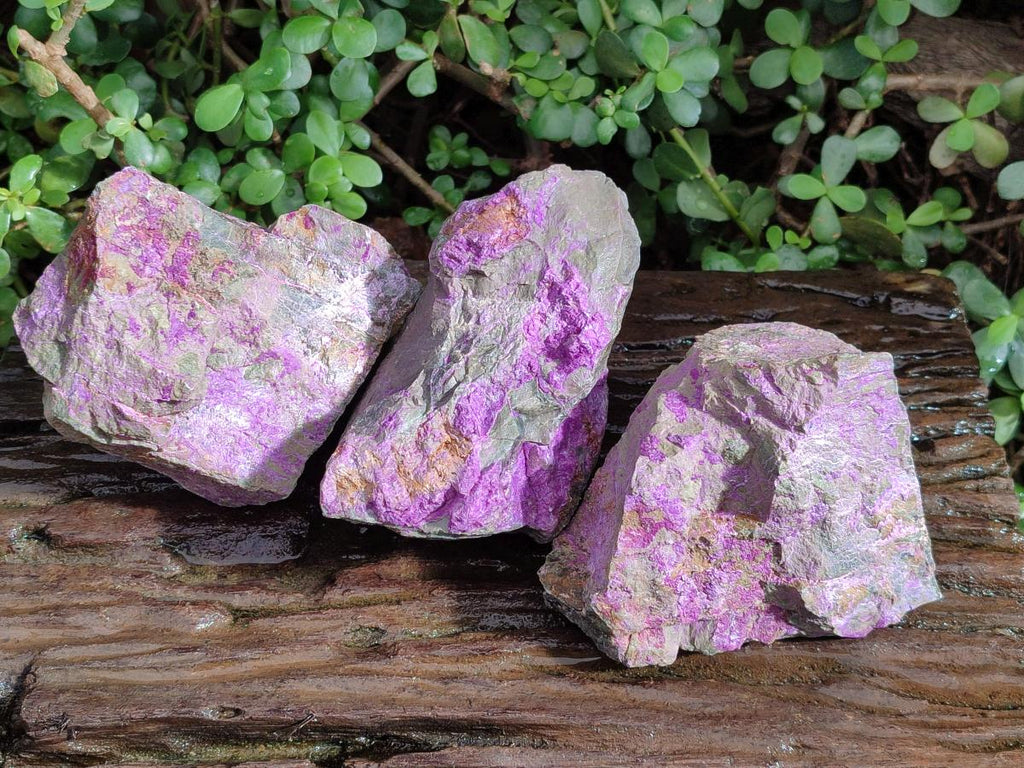Natural Cobbed Stichtite Specimens x 3 From Barberton, South Africa - Toprock Gemstones and Minerals 