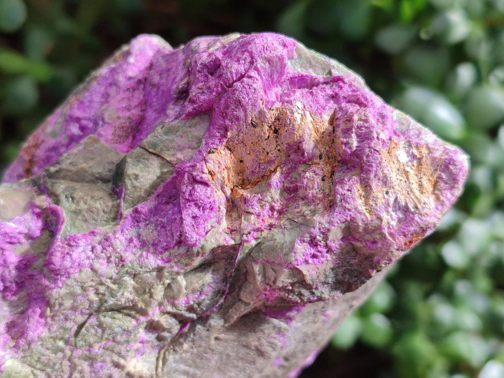 Natural Cobbed Stichtite Specimens x 3 From Barberton, South Africa - Toprock Gemstones and Minerals 