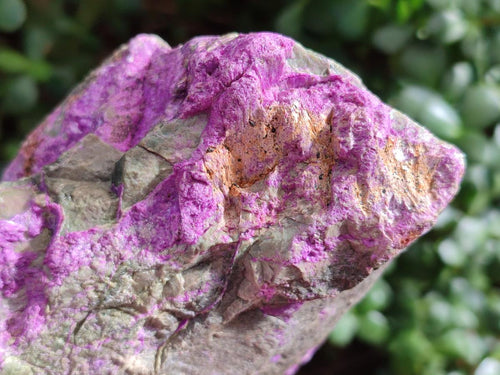 Natural Cobbed Stichtite Specimens x 3 From Barberton, South Africa - Toprock Gemstones and Minerals 