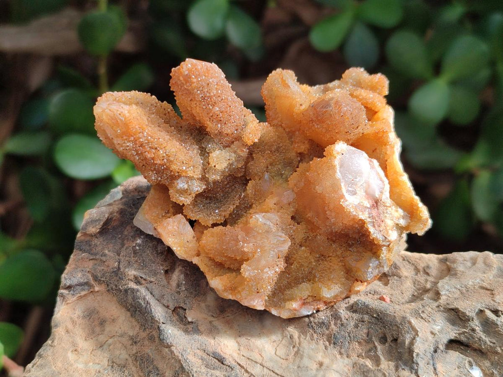 Natural Solar Spirit Quartz Clusters x 9 From Boekenhouthoek, South Africa - Toprock Gemstones and Minerals 