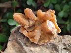 Natural Solar Spirit Quartz Clusters x 9 From Boekenhouthoek, South Africa - Toprock Gemstones and Minerals 