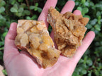 Natural Solar Spirit Quartz Clusters x 9 From Boekenhouthoek, South Africa - Toprock Gemstones and Minerals 