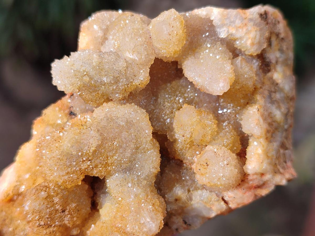 Natural Solar Spirit Quartz Clusters x 9 From Boekenhouthoek, South Africa - Toprock Gemstones and Minerals 