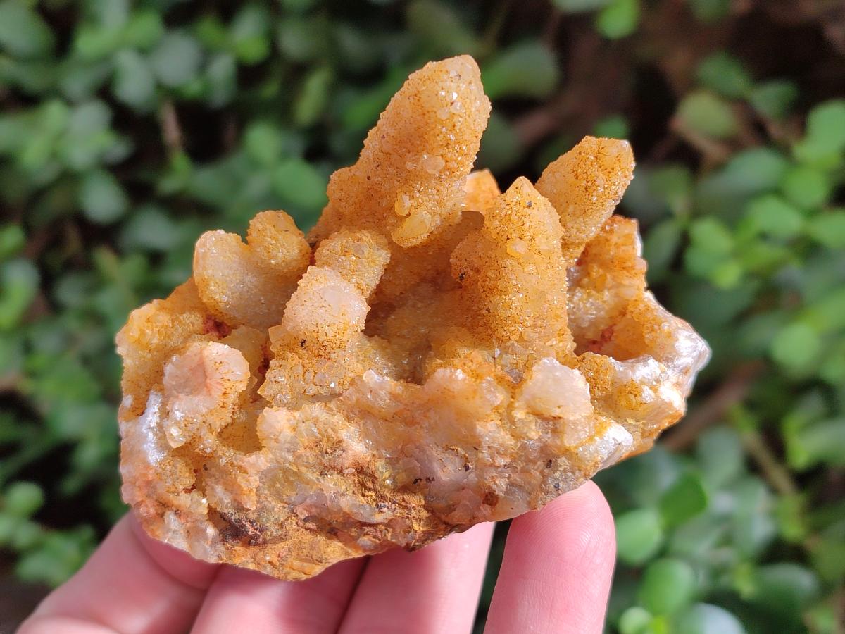 Natural Solar Spirit Quartz Clusters x 9 From Boekenhouthoek, South Africa - Toprock Gemstones and Minerals 