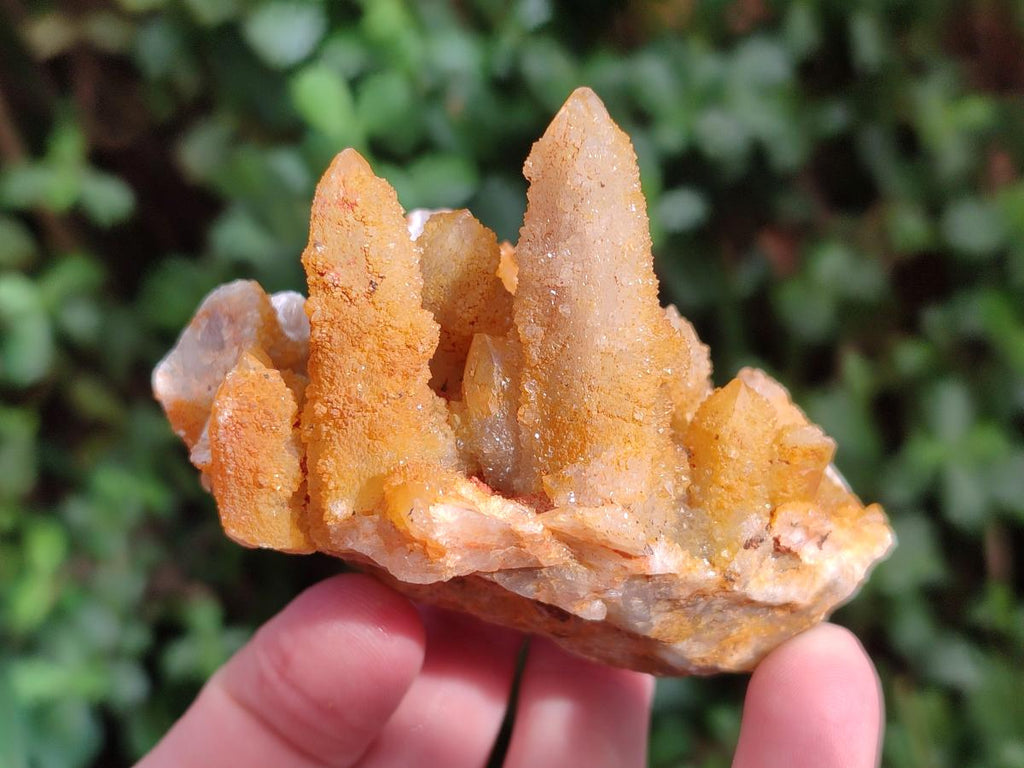 Natural Solar Spirit Quartz Clusters x 9 From Boekenhouthoek, South Africa - Toprock Gemstones and Minerals 