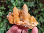 Natural Solar Spirit Quartz Clusters x 9 From Boekenhouthoek, South Africa - Toprock Gemstones and Minerals 