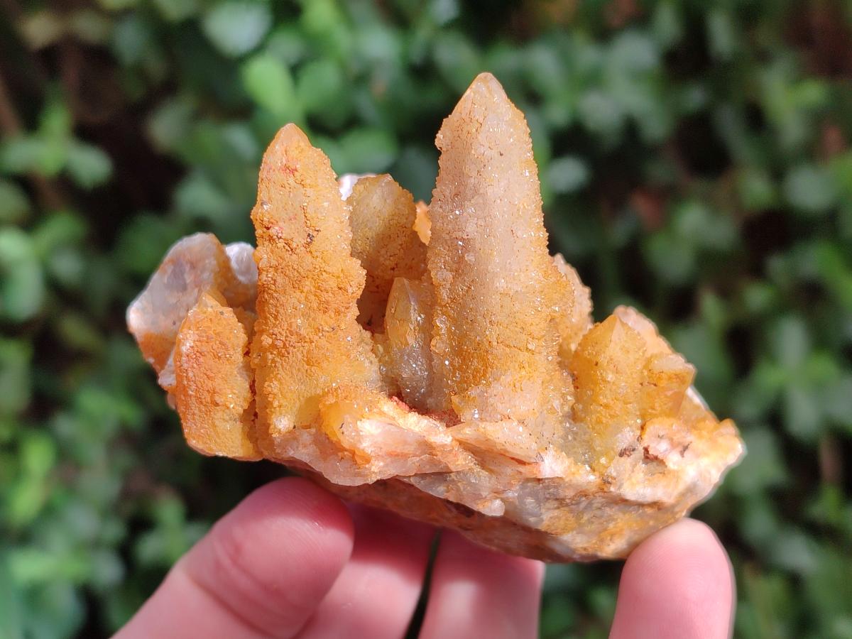 Natural Solar Spirit Quartz Clusters x 9 From Boekenhouthoek, South Africa - Toprock Gemstones and Minerals 