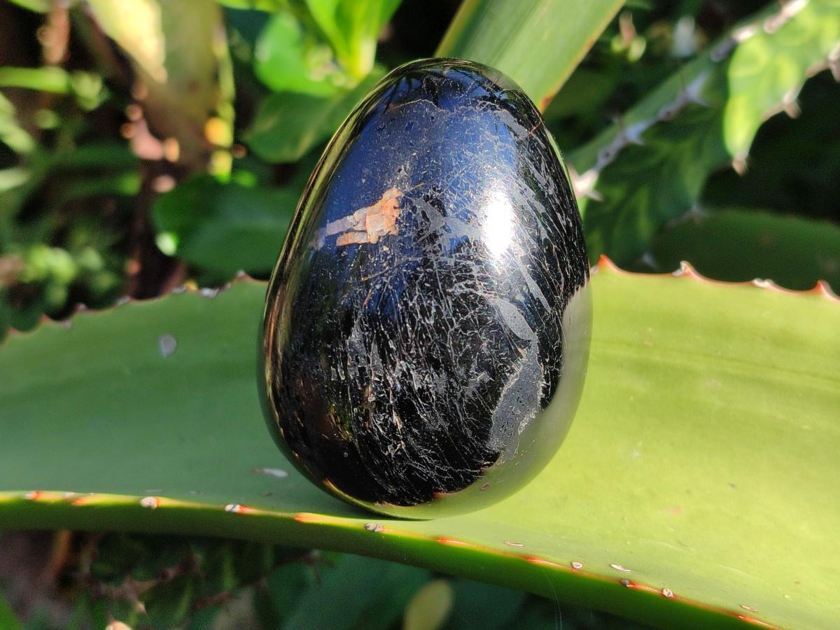 Polished Black Tourmaline Eggs x 6 From Madagascar - Toprock Gemstones and Minerals 