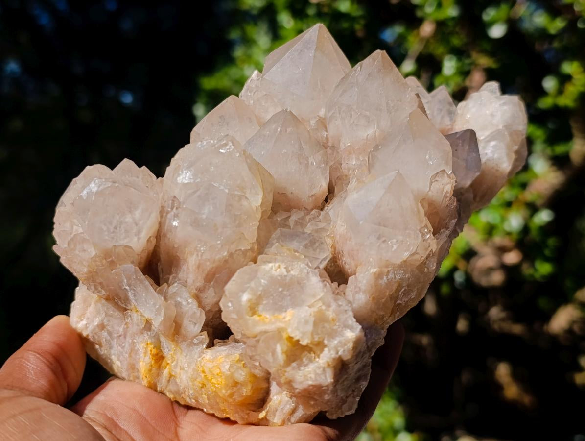 Natural Smokey Phantom Quartz Clusters x 2 From Luena, Congo - Toprock Gemstones and Minerals 