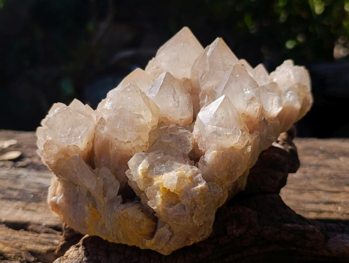 Natural Smokey Phantom Quartz Clusters x 2 From Luena, Congo - Toprock Gemstones and Minerals 
