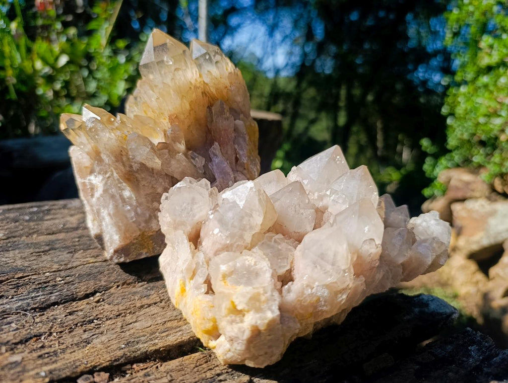 Natural Smokey Phantom Quartz Clusters x 2 From Luena, Congo - Toprock Gemstones and Minerals 