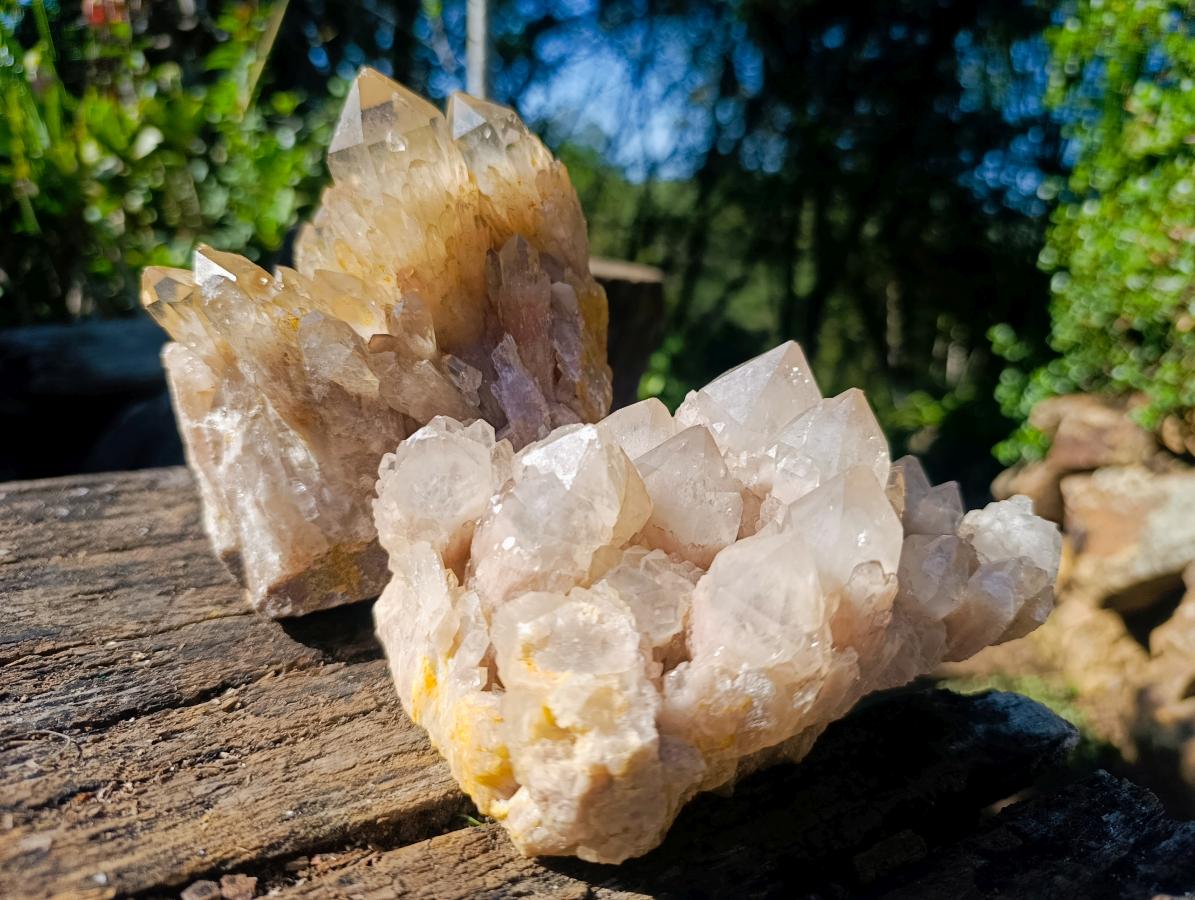 Natural Smokey Phantom Quartz Clusters x 2 From Luena, Congo - Toprock Gemstones and Minerals 