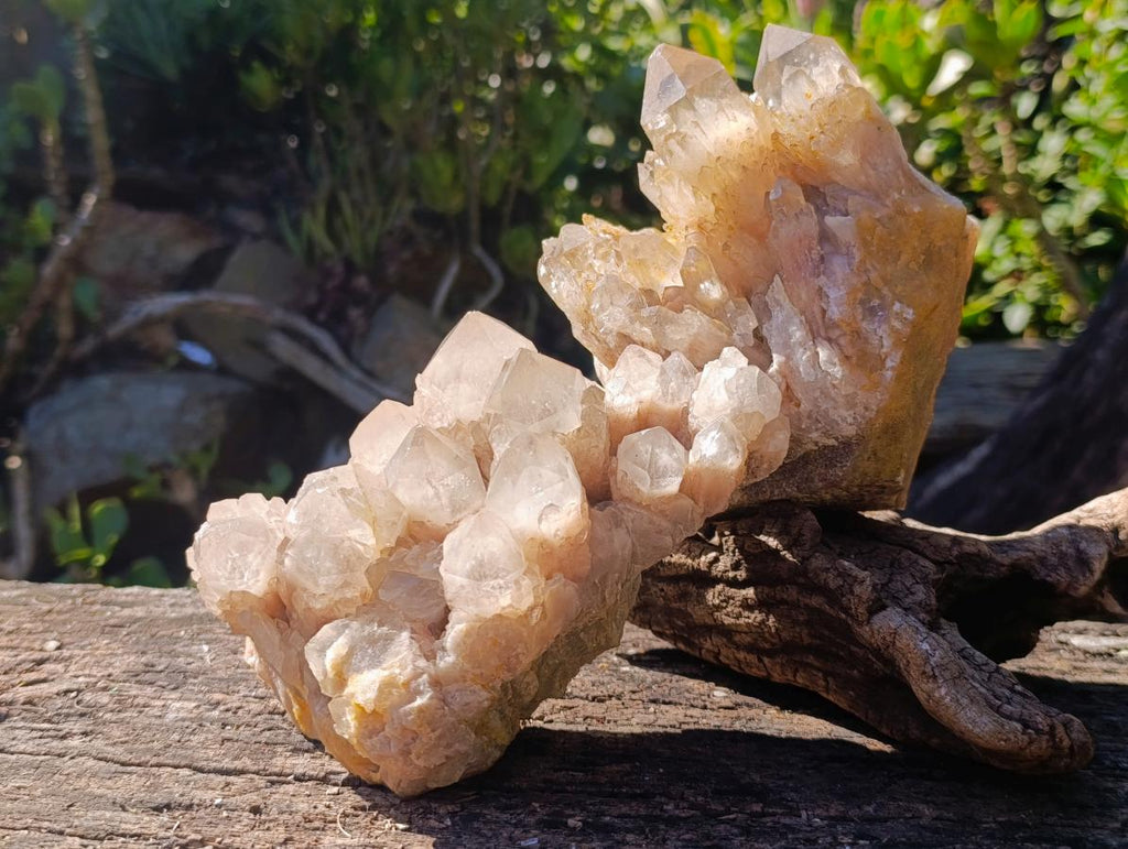 Natural Smokey Phantom Quartz Clusters x 2 From Luena, Congo - Toprock Gemstones and Minerals 