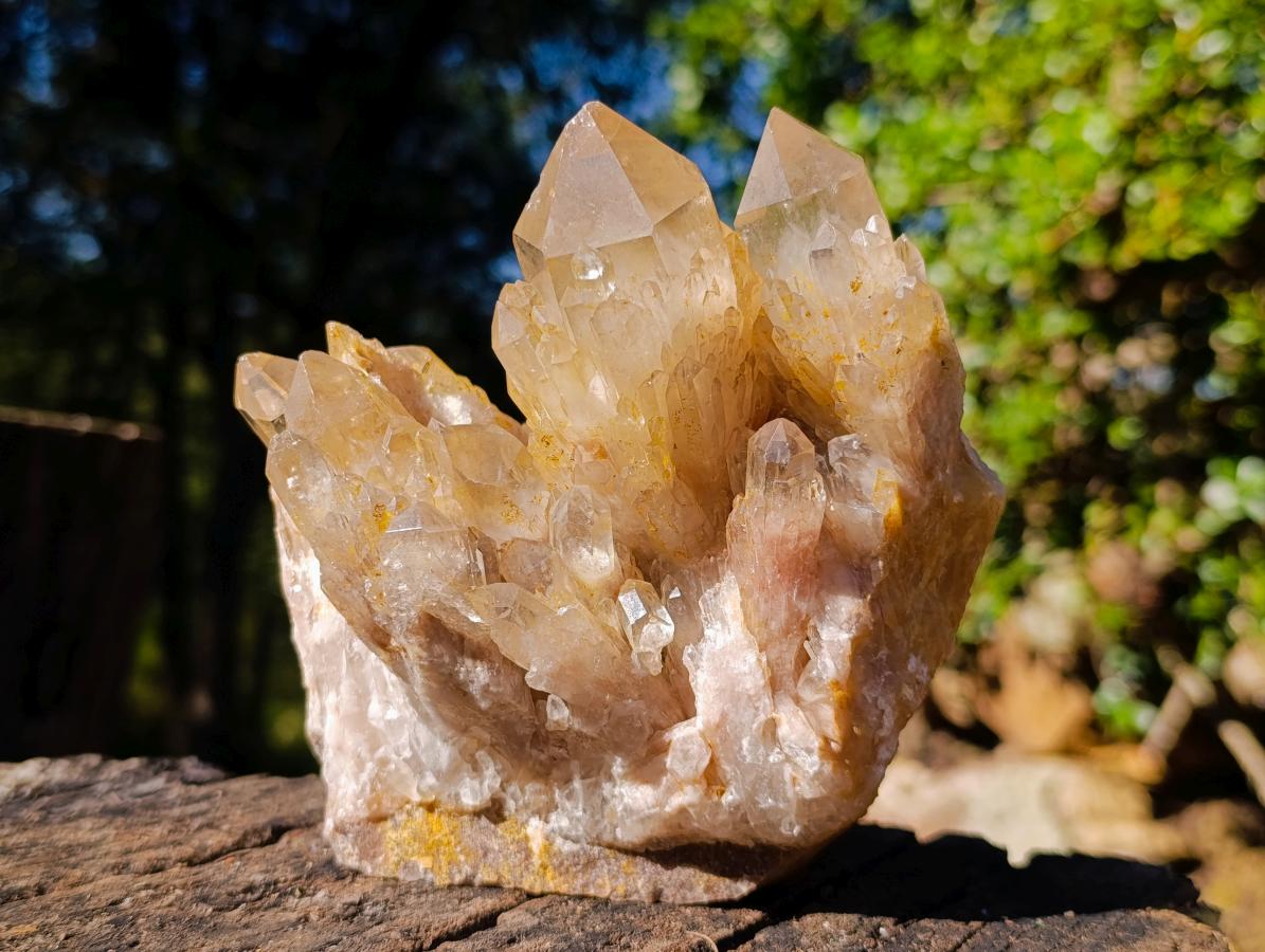 Natural Smokey Phantom Quartz Clusters x 2 From Luena, Congo - Toprock Gemstones and Minerals 