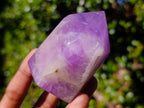 Polished Chevron Amethyst Display Crystals x 3 From Madagascar - Toprock Gemstones and Minerals 