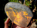 Polished Rare Purple Sunset Flash Labradorite Standing Display Pieces x 2 From Madagascar - Toprock Gemstones and Minerals 