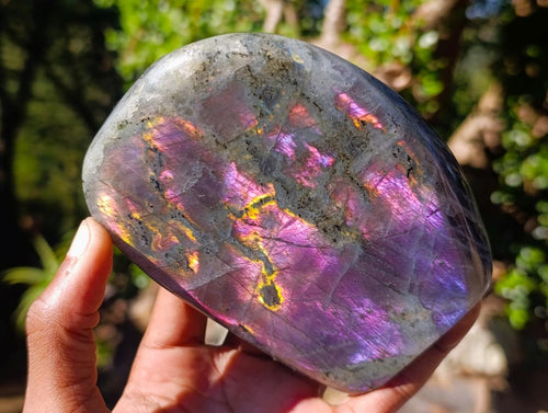 Polished Rare Purple Sunset Flash Labradorite Standing Display Pieces x 2 From Madagascar - Toprock Gemstones and Minerals 