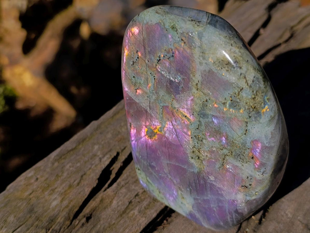 Polished Rare Purple Sunset Flash Labradorite Standing Display Pieces x 2 From Madagascar - Toprock Gemstones and Minerals 