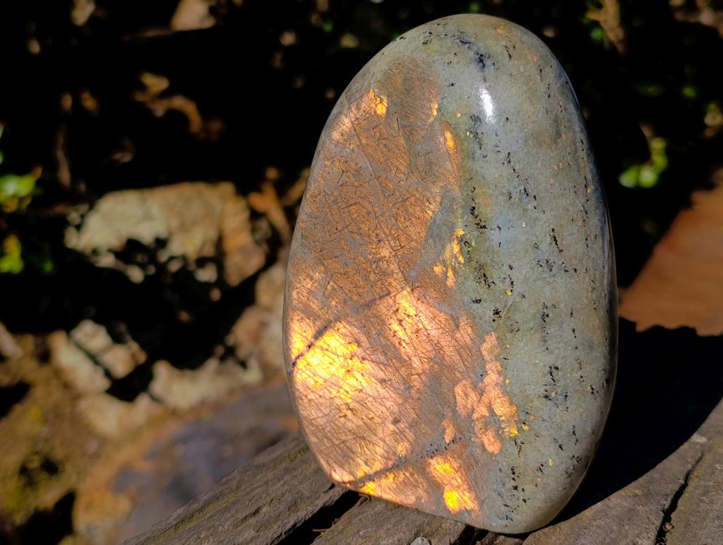 Polished Rare Purple Sunset Flash Labradorite Standing Display Pieces x 2 From Madagascar - Toprock Gemstones and Minerals 