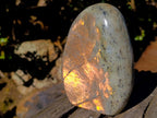 Polished Rare Purple Sunset Flash Labradorite Standing Display Pieces x 2 From Madagascar - Toprock Gemstones and Minerals 