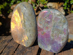 Polished Rare Purple Sunset Flash Labradorite Standing Display Pieces x 2 From Madagascar - Toprock Gemstones and Minerals 