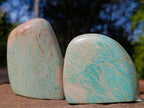 Polished Amazonite Standing Display Pieces x 12 From Zimbabwe - Toprock Gemstones and Minerals 