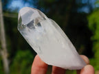 Natural Malagasy Quartz Crystals x 49 From Madagascar - Toprock Gemstones and Minerals 