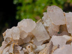 Natural Rhombohedral Calcite Specimens x 2 From Albert's Mountain, Lesotho - Toprock Gemstones and Minerals 