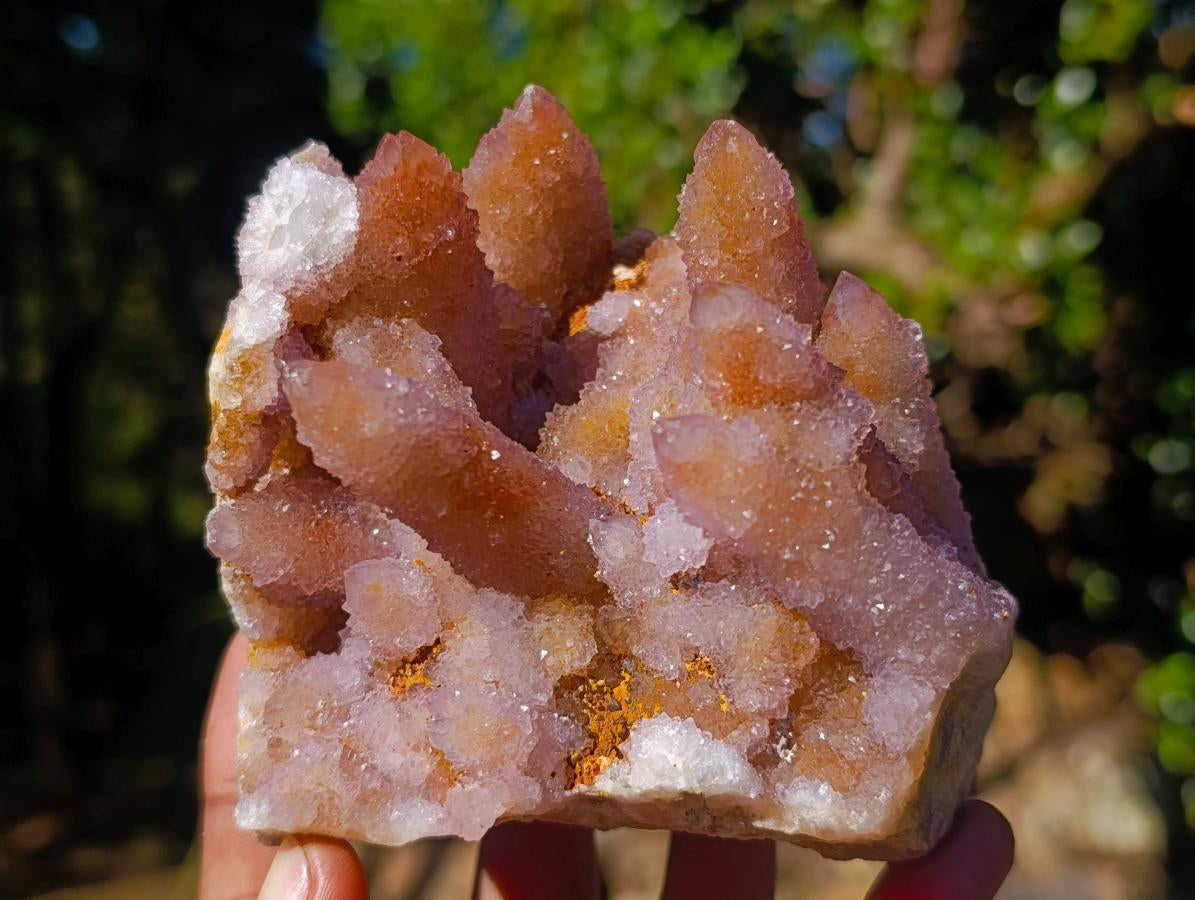 Natural Spirit Ametrine Clusters x 4 From Boekenhouthoek, South Africa - Toprock Gemstones and Minerals 