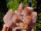 Natural Spirit Ametrine Clusters x 4 From Boekenhouthoek, South Africa - Toprock Gemstones and Minerals 