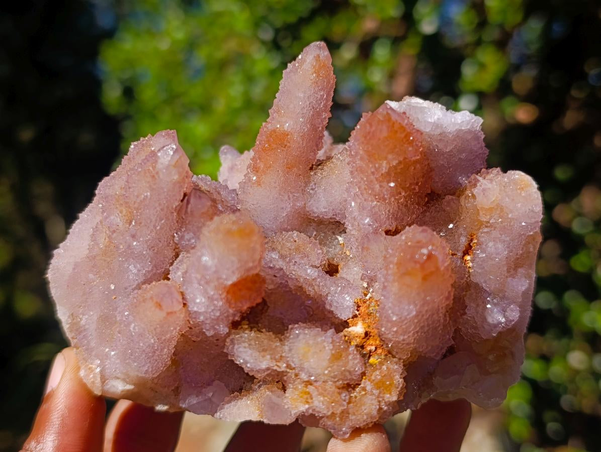 Natural Spirit Ametrine Clusters x 4 From Boekenhouthoek, South Africa - Toprock Gemstones and Minerals 