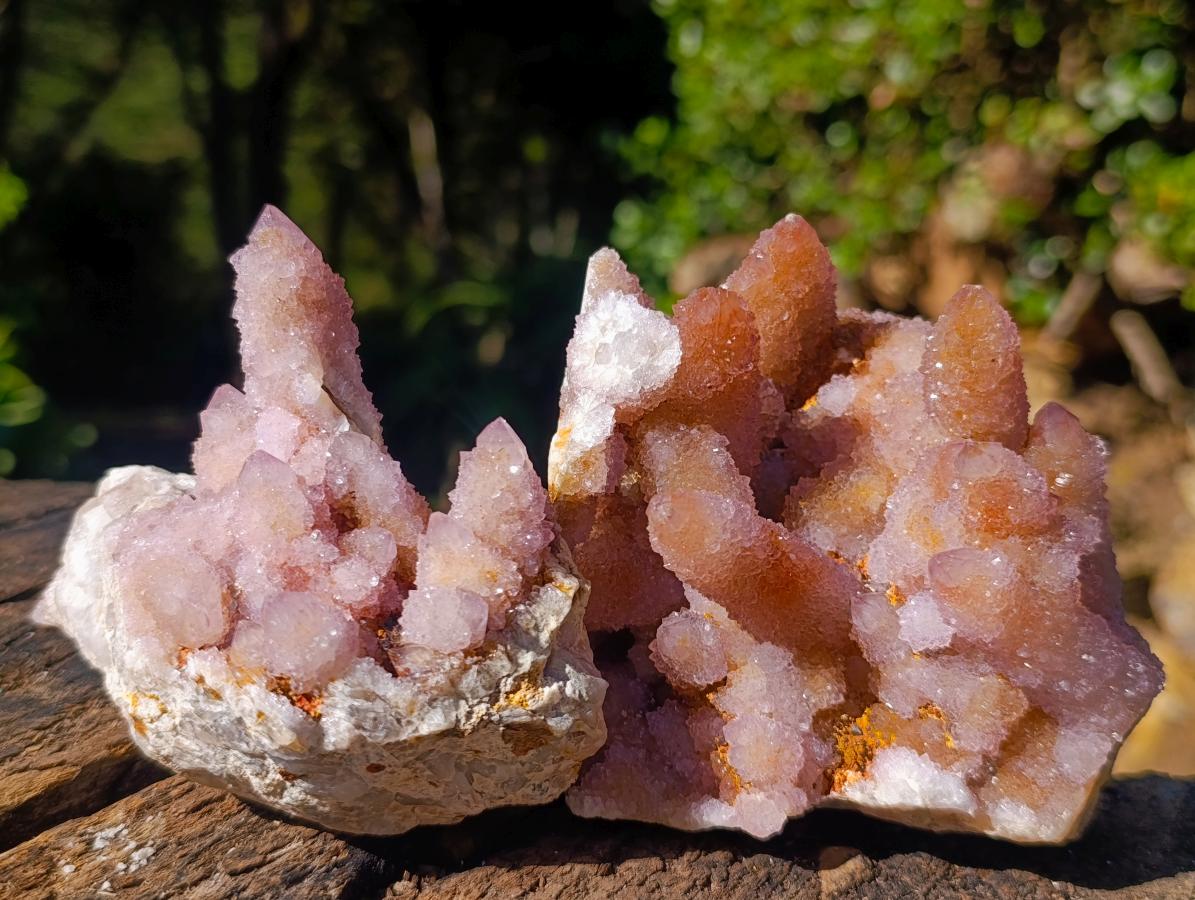 Natural Spirit Ametrine Clusters x 4 From Boekenhouthoek, South Africa - Toprock Gemstones and Minerals 