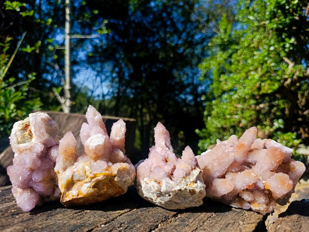 Natural Spirit Ametrine Clusters x 4 From Boekenhouthoek, South Africa - Toprock Gemstones and Minerals 