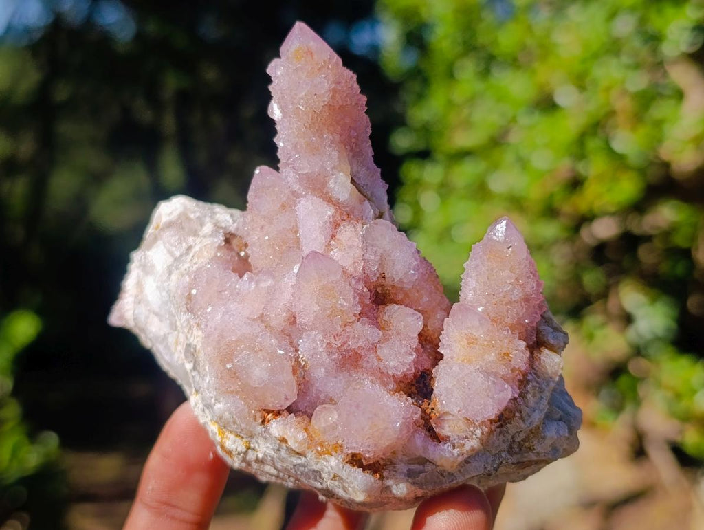 Natural Spirit Ametrine Clusters x 4 From Boekenhouthoek, South Africa - Toprock Gemstones and Minerals 